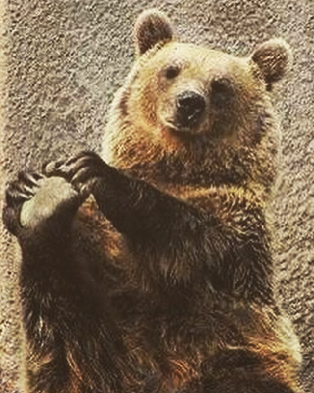 In a nutshell,&nbsp;Me